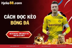 Cách đọc kèo bóng đá từ a đến z cho những tân thủ cá cược