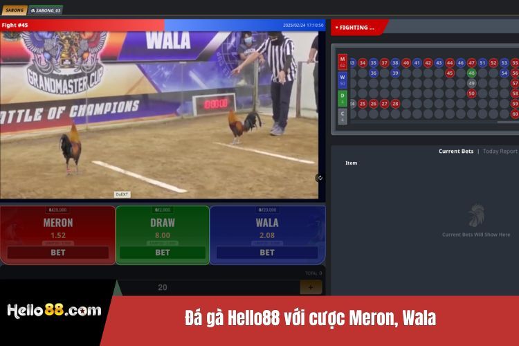Đá gà Hello88 với cược Meron, Wala