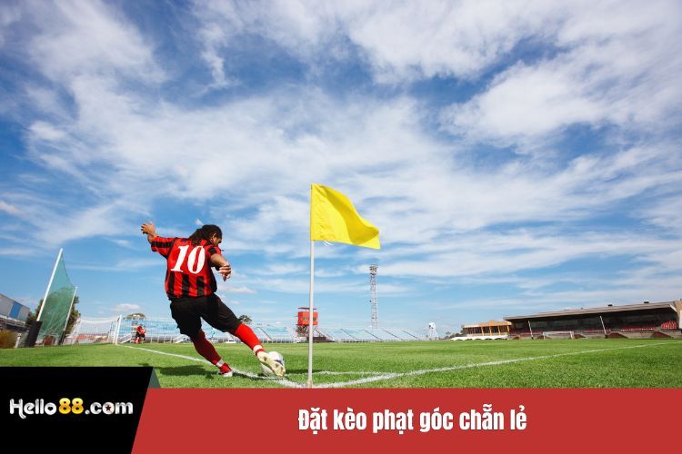 Đặt kèo phạt góc chẵn lẻ