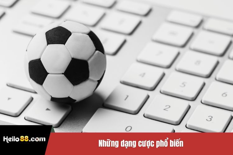 Những dạng cược phổ biến