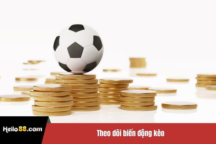 Theo dõi biến động kèo