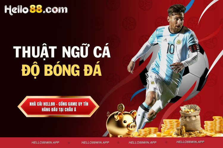 Thuật Ngữ Cá Độ Bóng Đá - Từ Khái Niệm Cơ Bản Đến Chuyên Sâu
