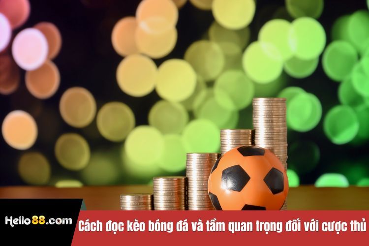 Cách đọc kèo bóng đá và tầm quan trọng đối với cược thủ